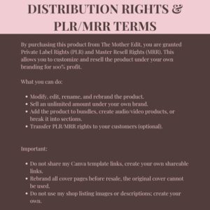 Faceless Creator Starter Kit – DFY Canva Templates, PLR & MRR Products to Start Earning Passive Income